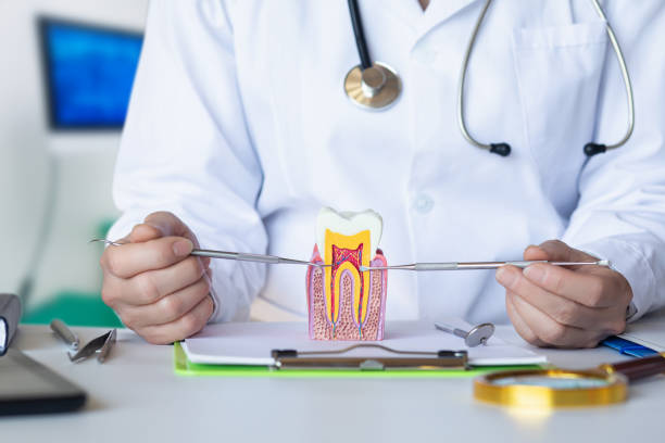 Best Dentist for Dental Trauma  in Severn, MD